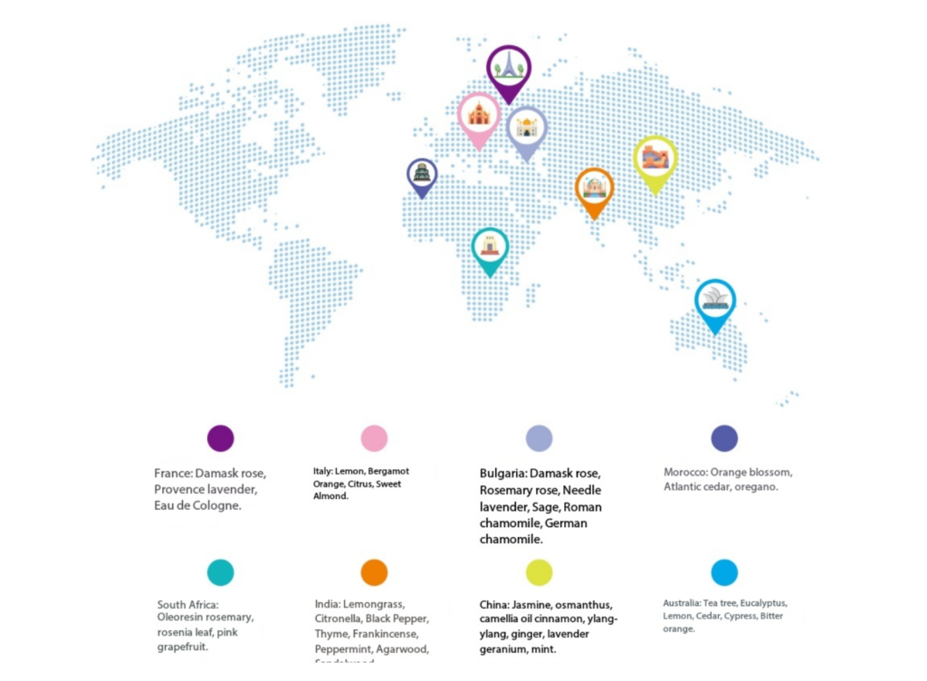 oils global sourcing
